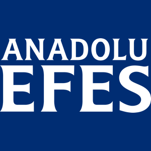 AEFES logo