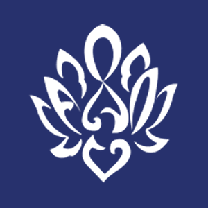 ARDYZ logo