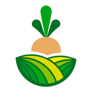 BORSK logo
