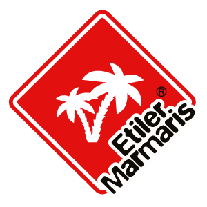 ETILR logo