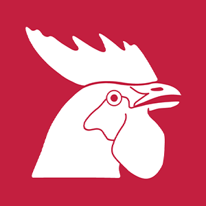 HOROZ logo