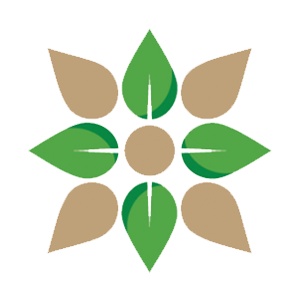 KAYSE logo