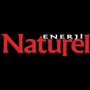 NATEN logo