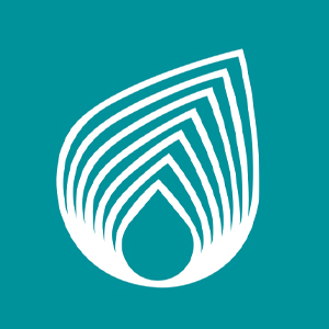 NETAS logo