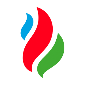 PETKM logo