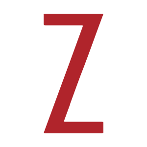 ZERGY logo